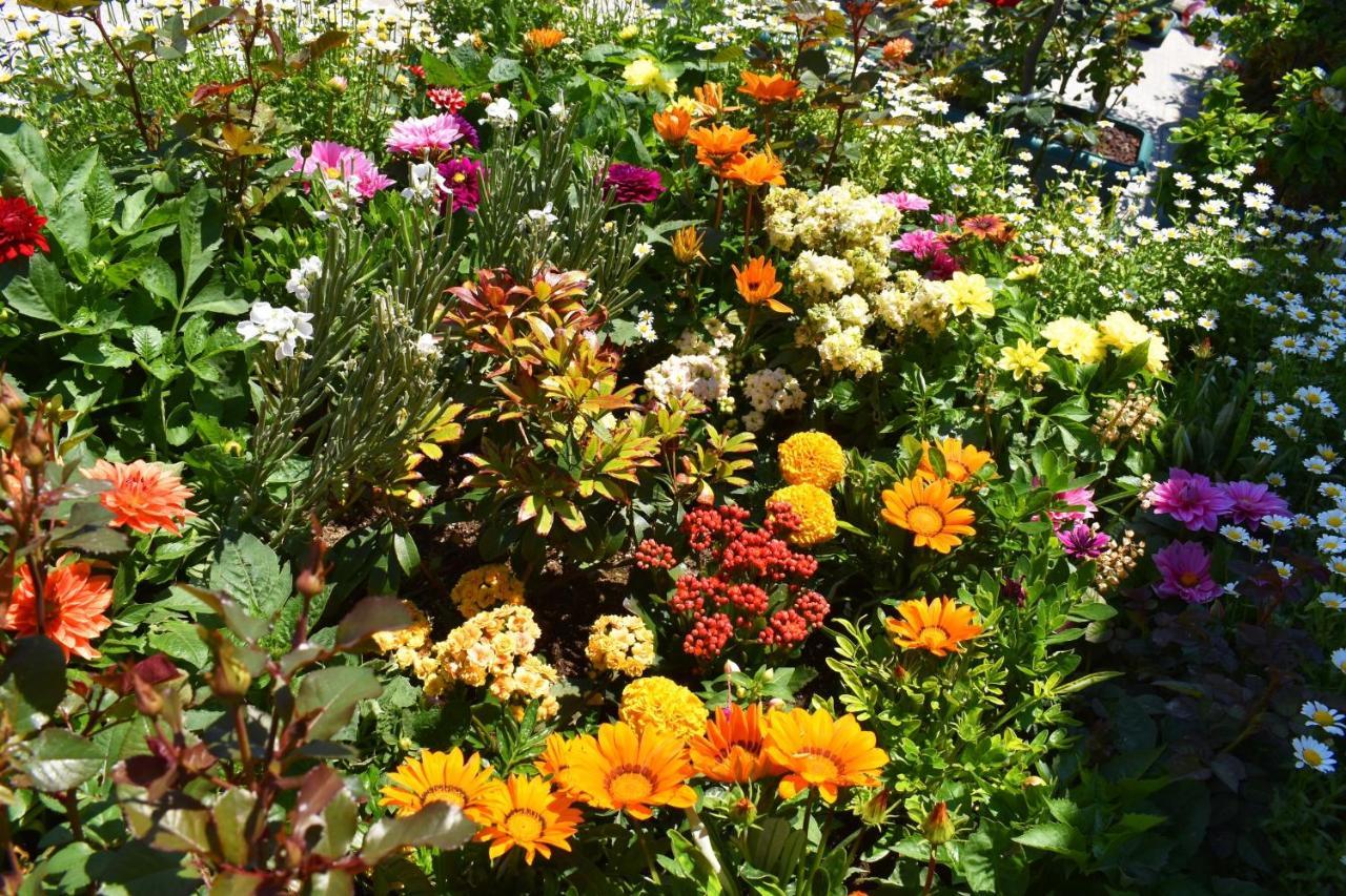 Hotel Garden Terrace Istanbul Eksteriør billede